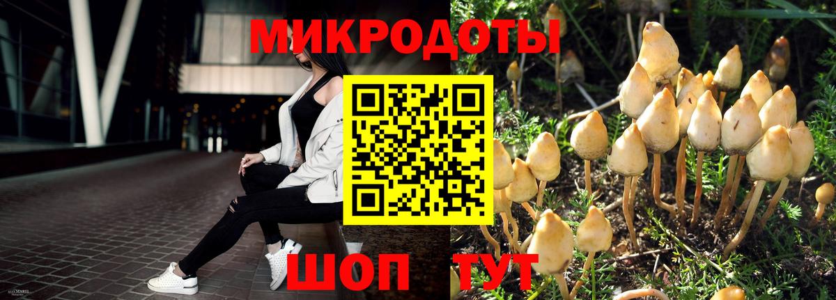 Еманжелинск  цены   Вход с VPN  Галлюциногенные грибы GOLDEN TEACHER 