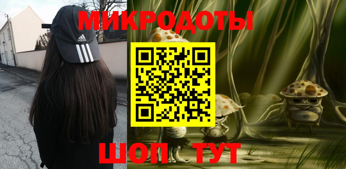 Галлюциногенные грибы Psilocybe Еманжелинск